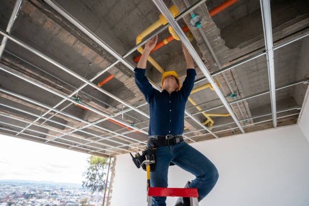 Best Plumbing Repair Near Me  in Noel, MO