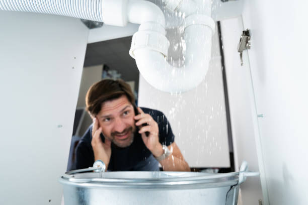 Best Local Plumber Services  in Noel, MO